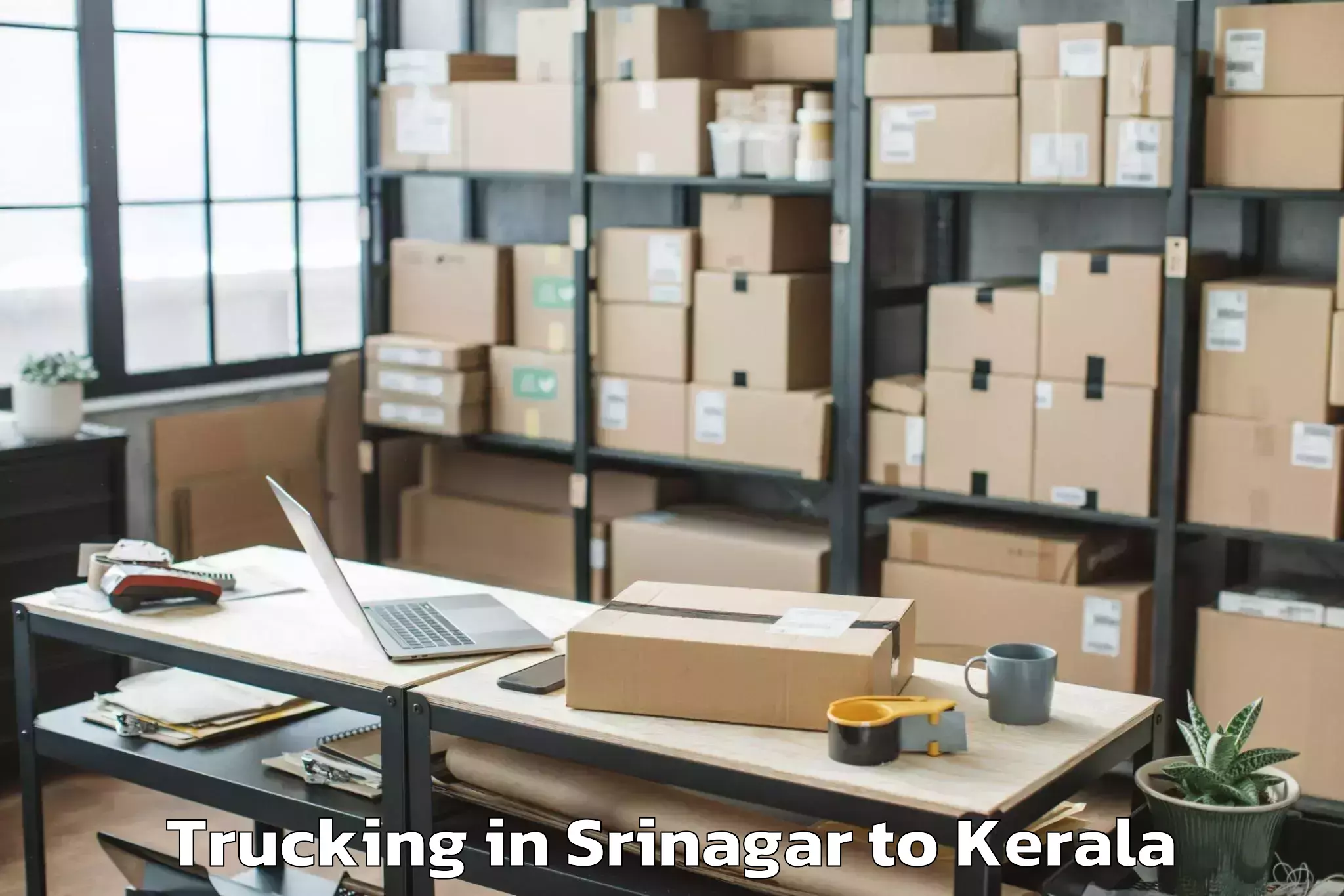 Easy Srinagar to Selex Mall Thrissur Trucking Booking